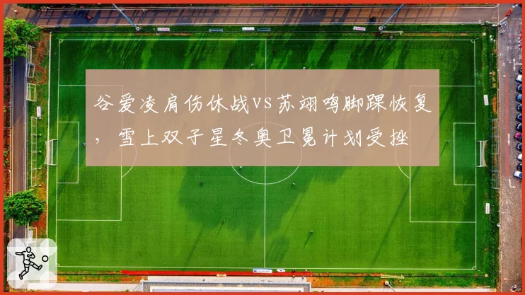 谷爱凌肩伤休战vs苏翊鸣脚踝恢复，雪上双子星冬奥卫冕计划受挫