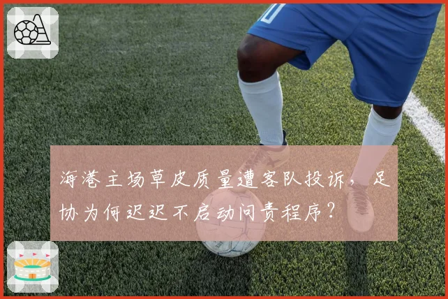 海港主场草皮质量遭客队投诉，足协为何迟迟不启动问责程序？