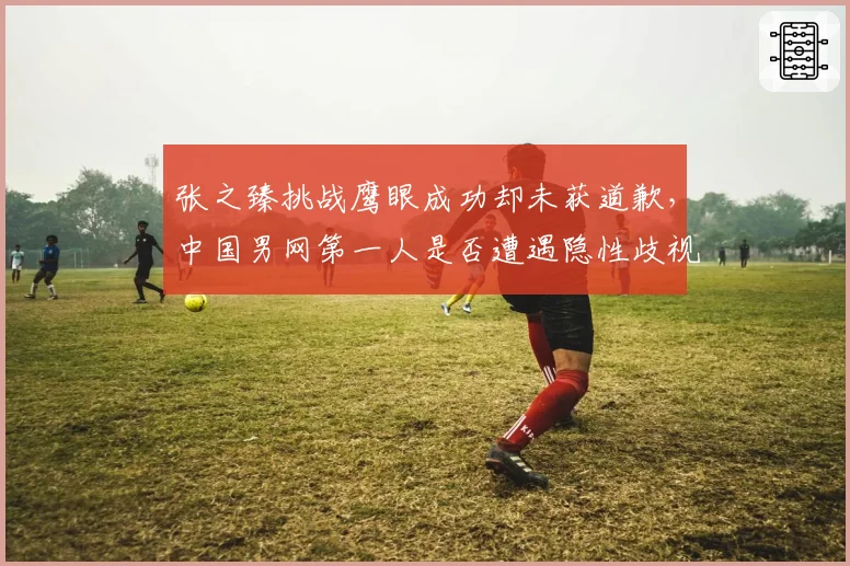 张之臻挑战鹰眼成功却未获道歉，中国男网第一人是否遭遇隐性歧视？
